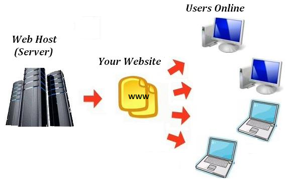 Почему dns нет в e katalog